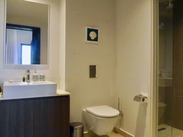 4 Bedroom Penthouse
