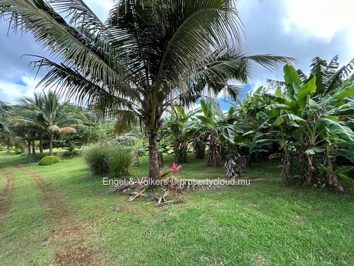 Commercial Land for Sale in Montagne Blanche — A Unique Investment Opportunity