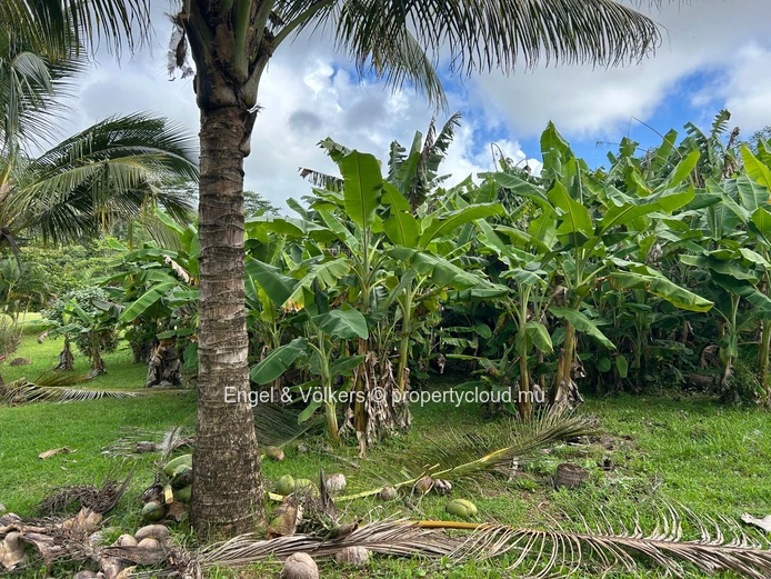 Commercial Land for Sale in Montagne Blanche — A Unique Investment Opportunity