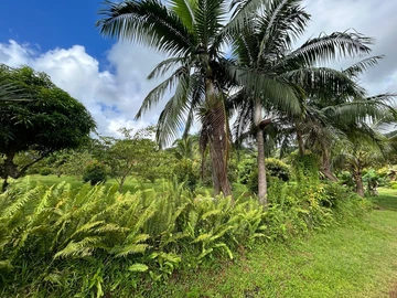 Land