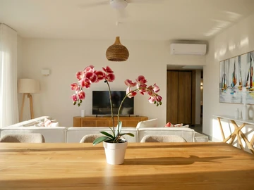 3 Bedroom Penthouse