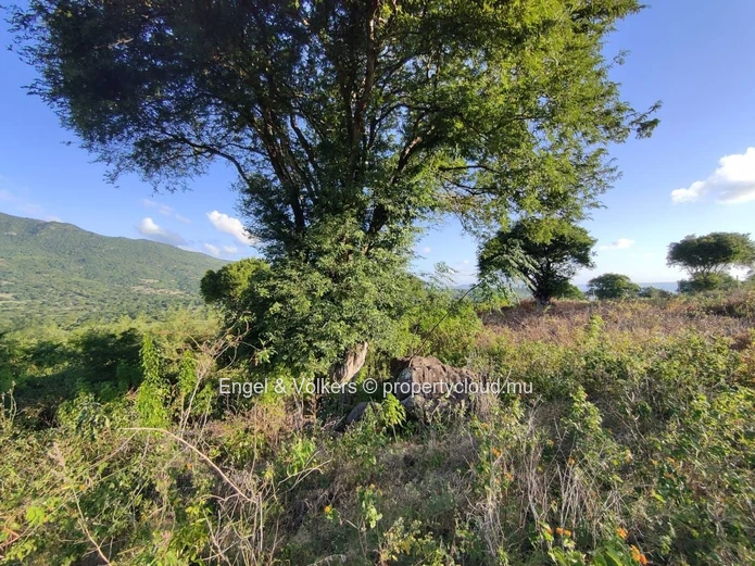 MAURITIAN CITIZENS ONLY | Domaine de Palmyre, Premium residential land, Tamarin / Black River