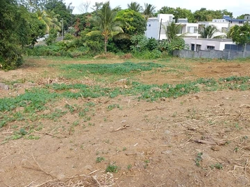 Land