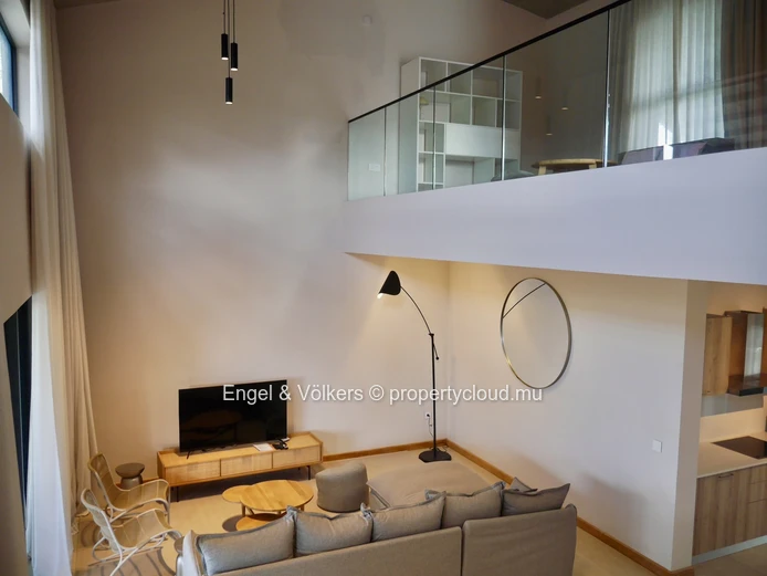 Private-Lift Penthouse with Mountain Views