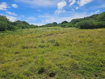 Land