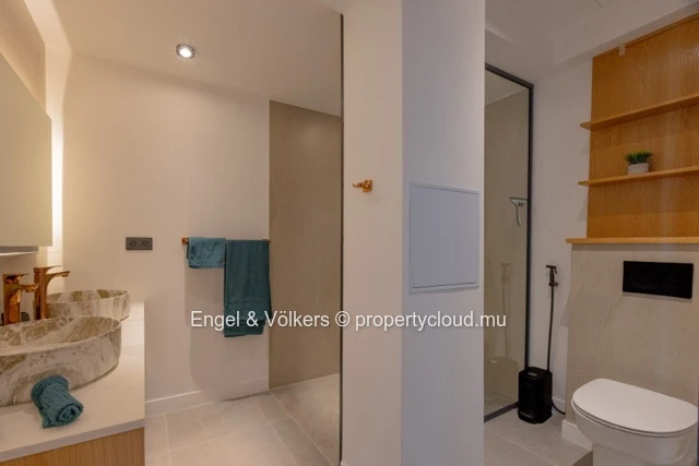Modern Fully Renovated Duplex for Rent in Black River