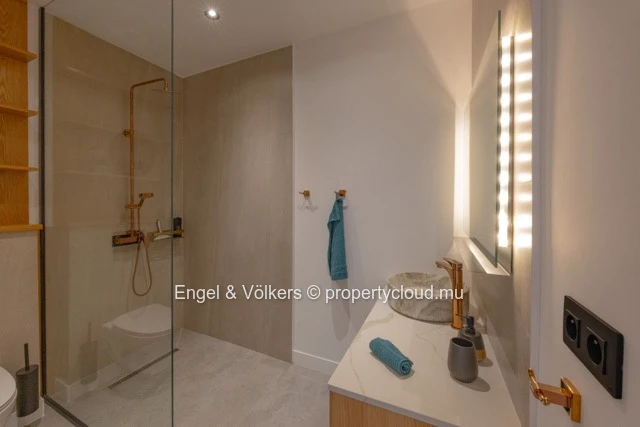 Modern Fully Renovated Duplex for Rent in Black River