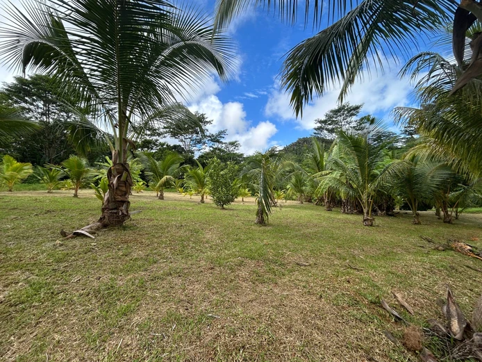 Commercial Land for Sale in Montagne Blanche — A Unique Investment Opportunity