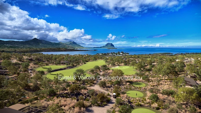 For Sale: Premium Serviced Plots in Black River