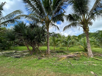 Land