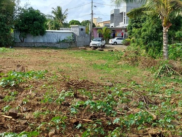 Land