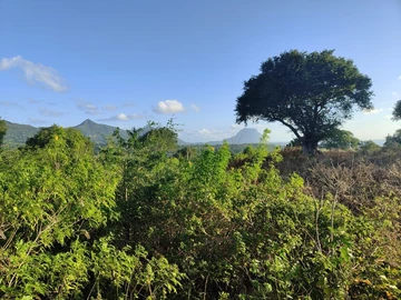 Land